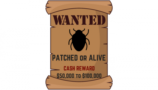 Programme de Bug Bounty